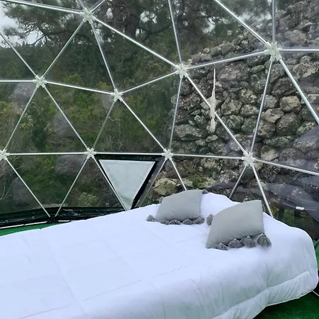 Skydome 豪华帐篷